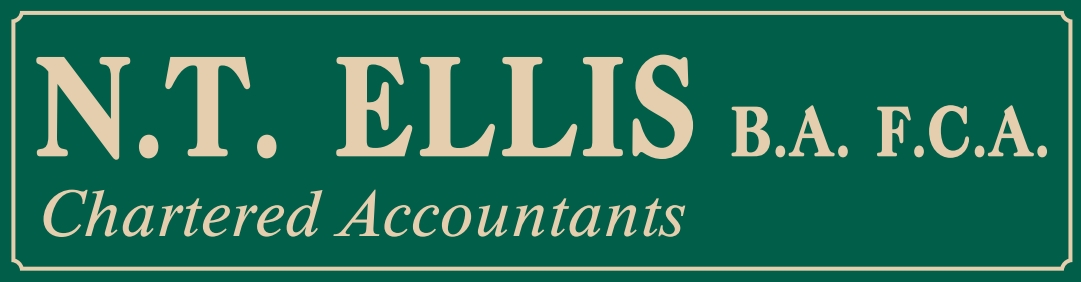 N. T. Ellis Chartered Accountants